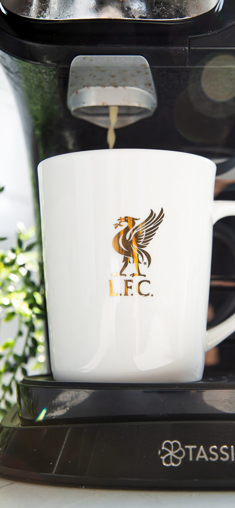 Liverpool FC Cups