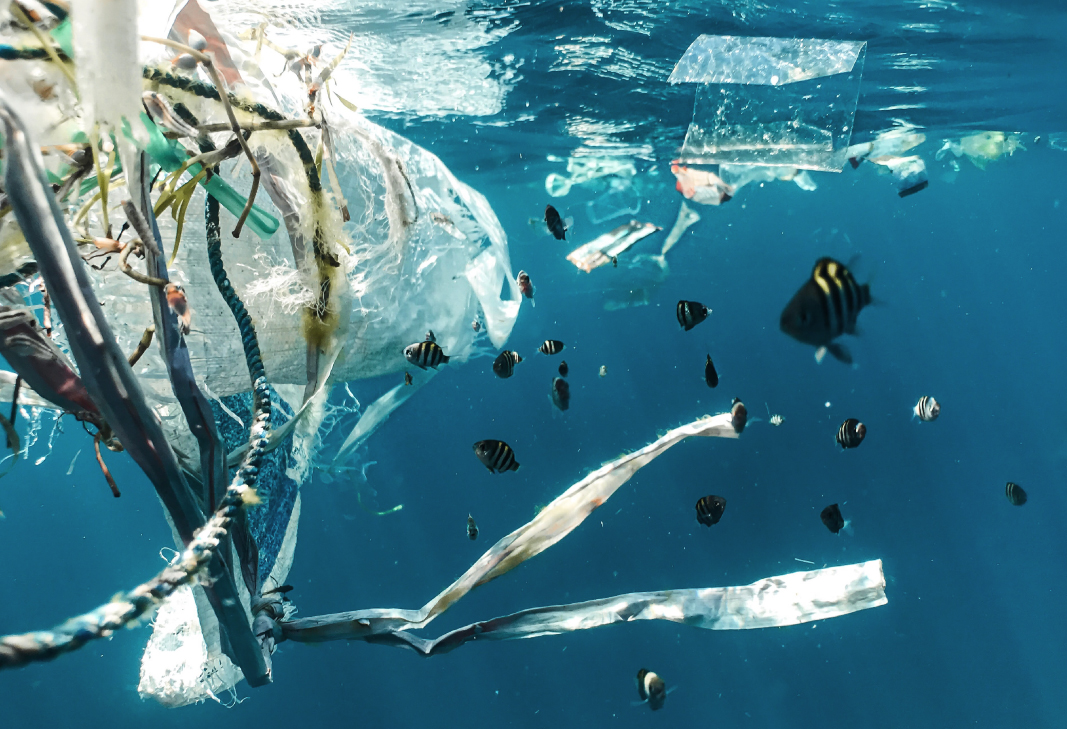 Ocean plastic | A.D.