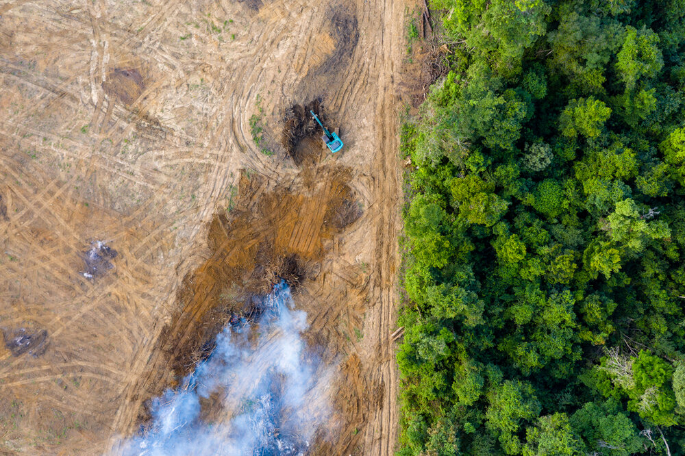 an aerial view of a forest with smoke coming out of the ground.