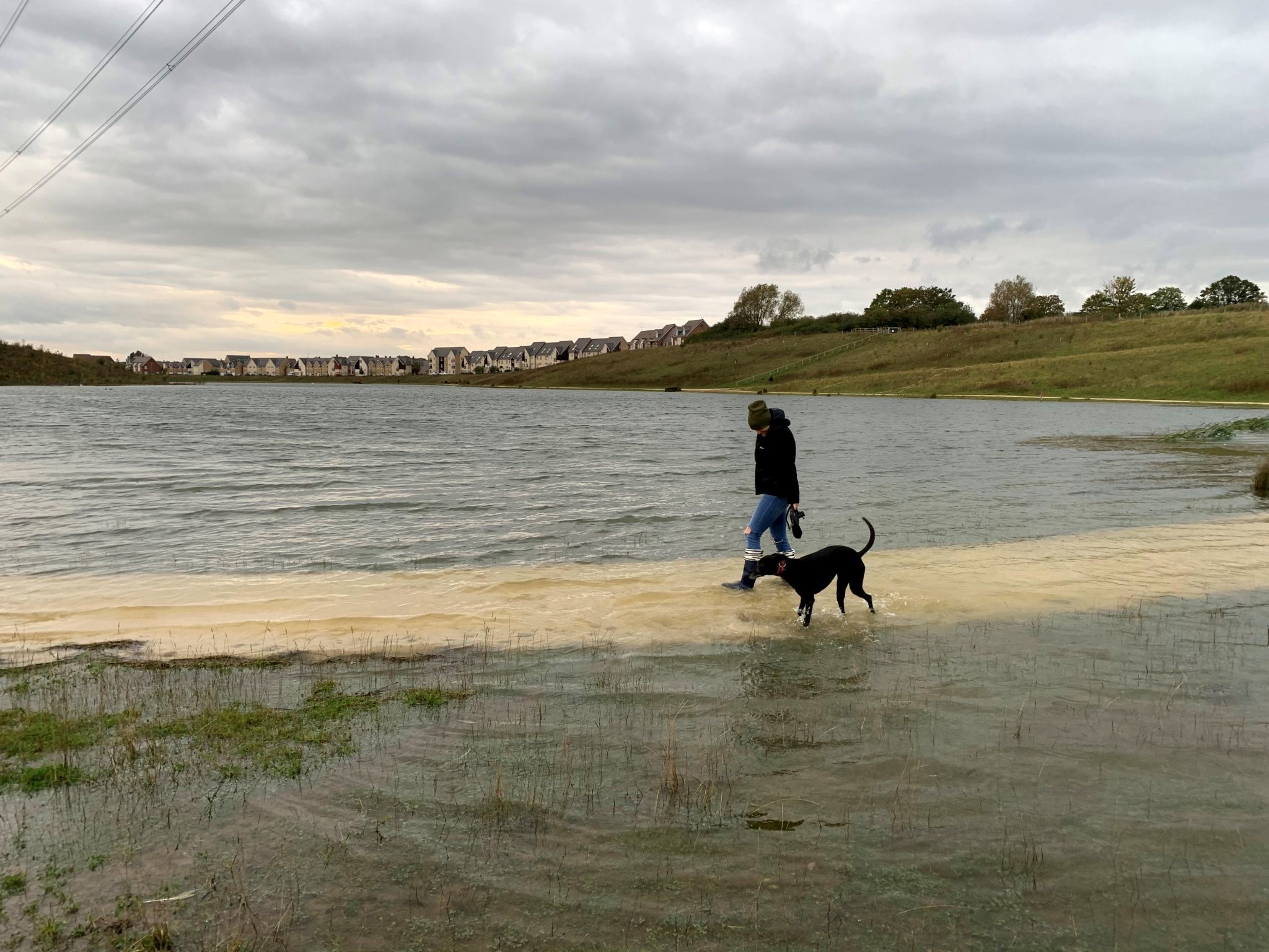 a person walking a dog on a beach next to a body of water.