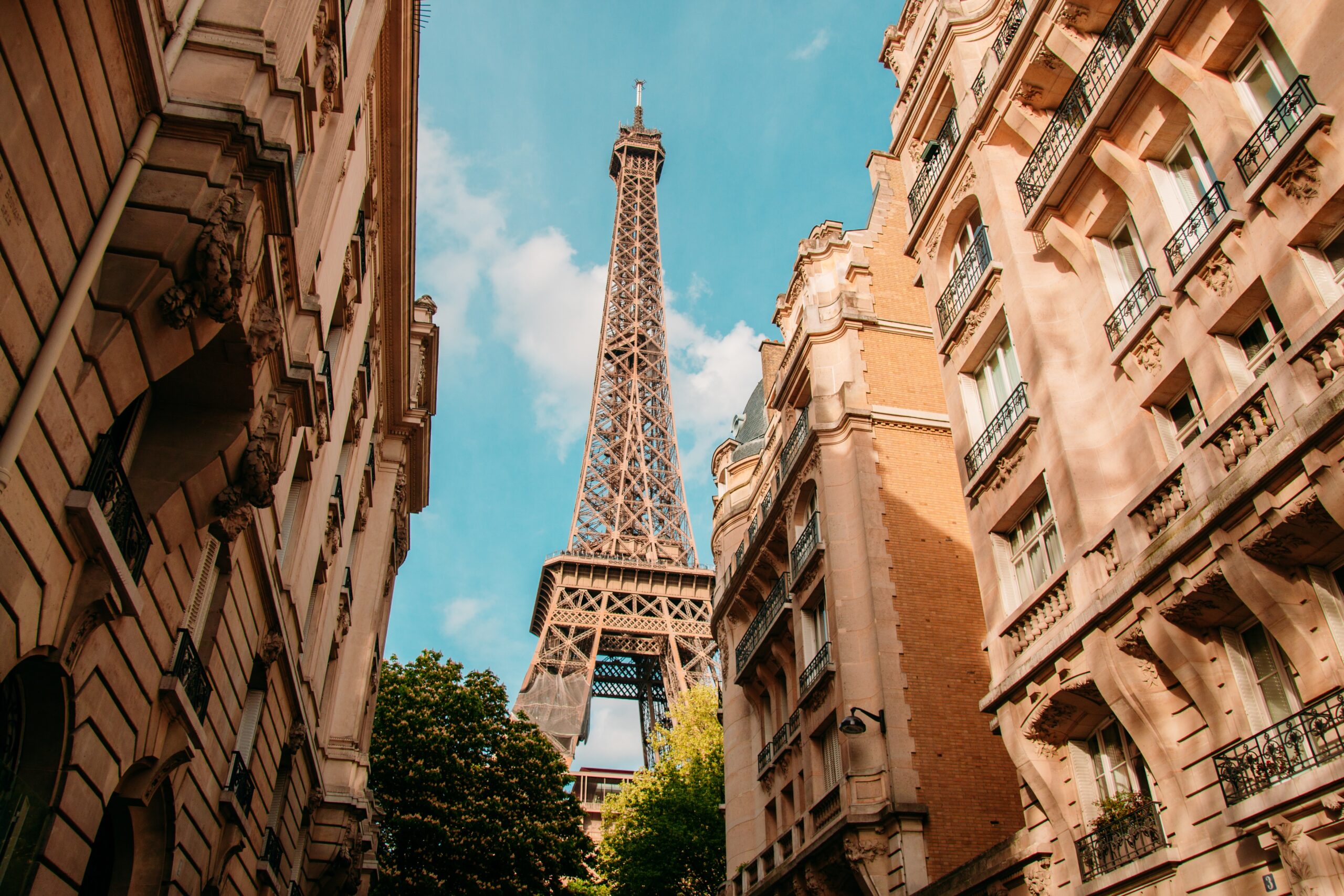 the eiffel tower towering over the city of paris.