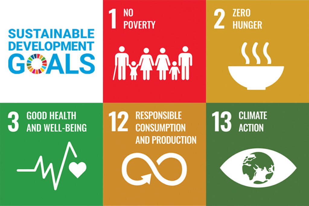 sustainable development goals