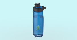Top Ten Sustainable Gifts 3 Camelbak Bottle